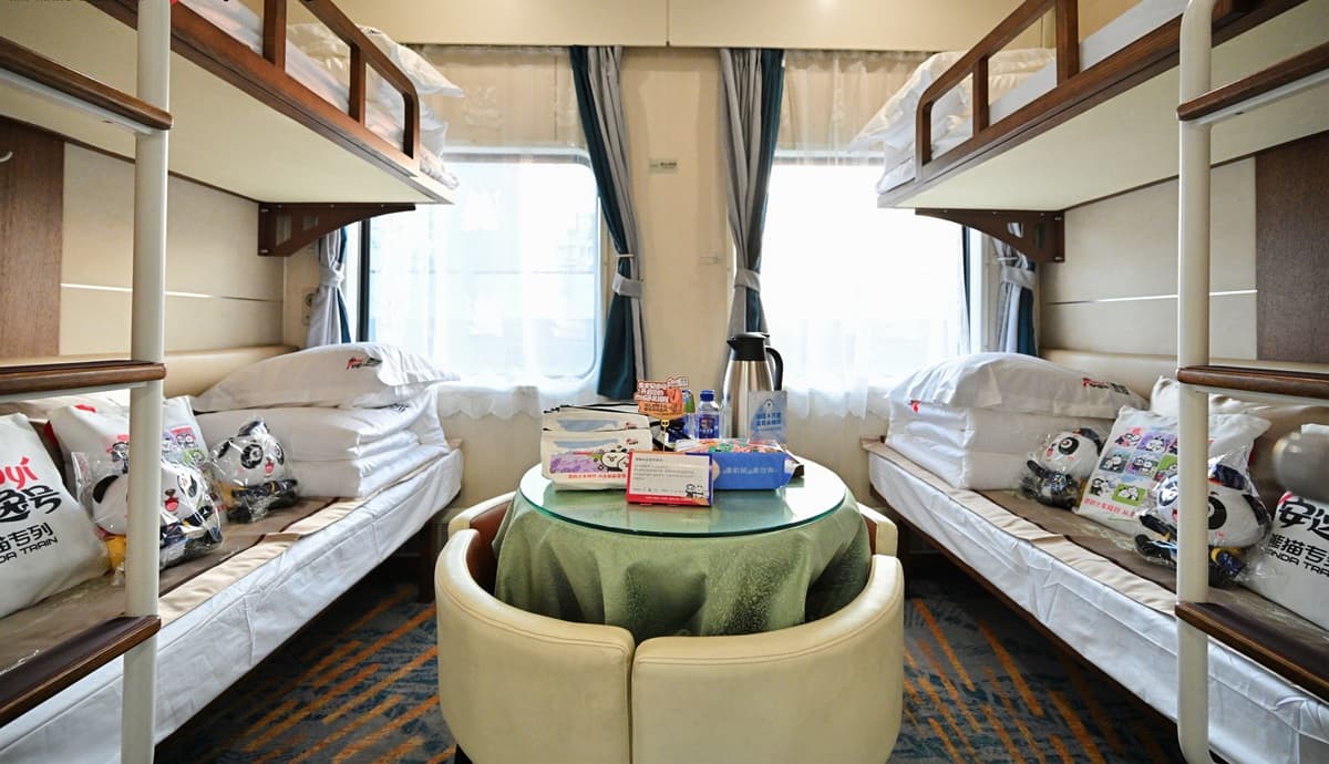 Panda Elegant Cabin Four-Person Room